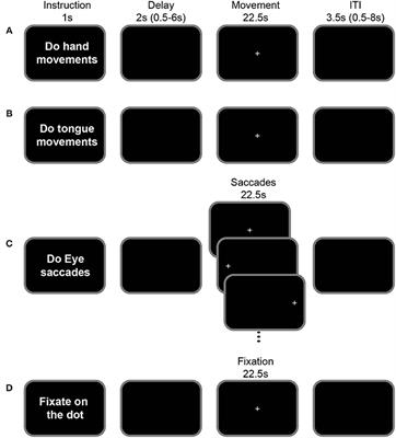 Rostro-Caudal Organization of Connectivity between Cingulate Motor Areas and Lateral Frontal Regions